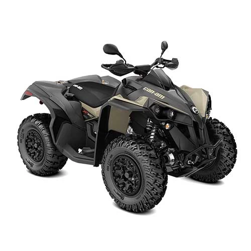 Can-Am Renegade X xc 650 T '21